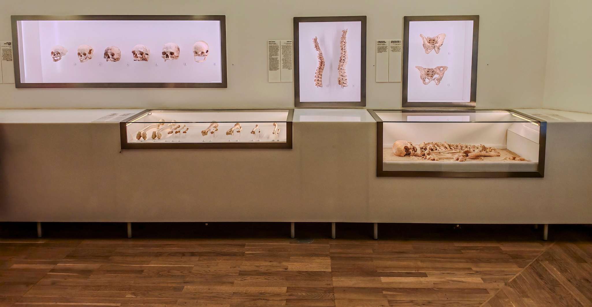 Private Tour of Bahrain with Local Guide Sadeq photo 6