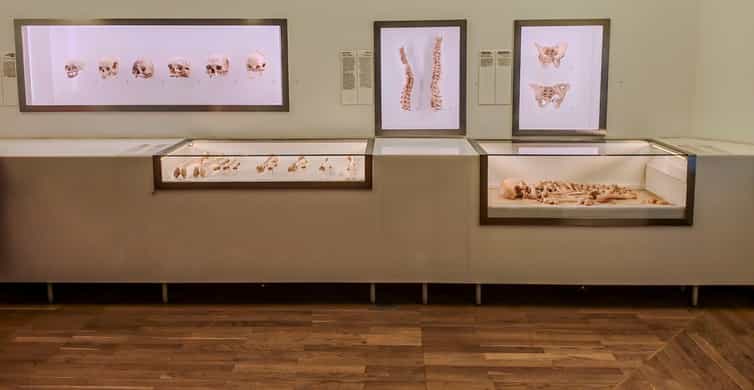 Private Tour of Bahrain with Local Guide Sadeq photo 6