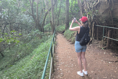 Karura Forest walking tour with nature and waterfalls.