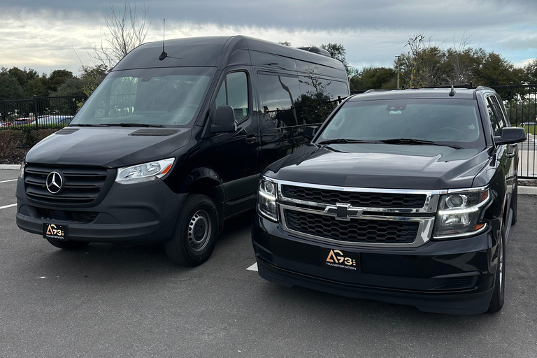 Transfer: Hotele MCO/Orlando do Port CanaveralTransfer: Hotele MCO/Orlando do Port Canaveral - SEDAN