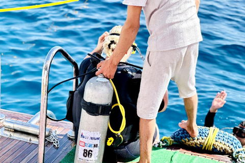 Sharm: Small Group White Island & Ras Mohammed Boat Cruise Small Group White Island & Transfer, without Snorkel Gear