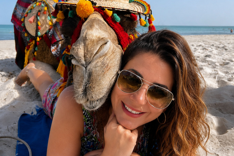 Djerba: Pirate Ship Cruise to Flamingo Island with Lunch