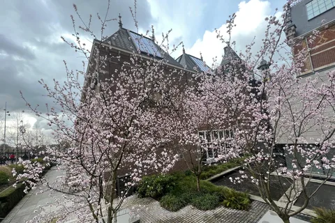 Amsterdam: Ultimate City Park Tour