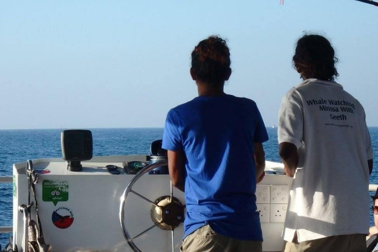 Mirissa: Whale & Dolphin Watching Cruise with Geeth’s Crew