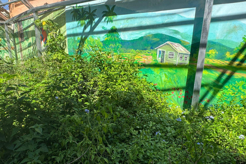 Puerto Plata Countryside & Village Panoramic Tour
