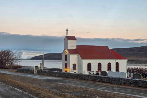Ísafjörður: Seal Colony, Avalanche Town & Fjord Views Tour