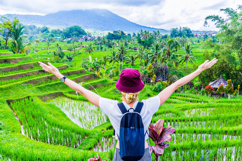 Bali: From Royal Garden to Floating Shrines and Ocean Temple