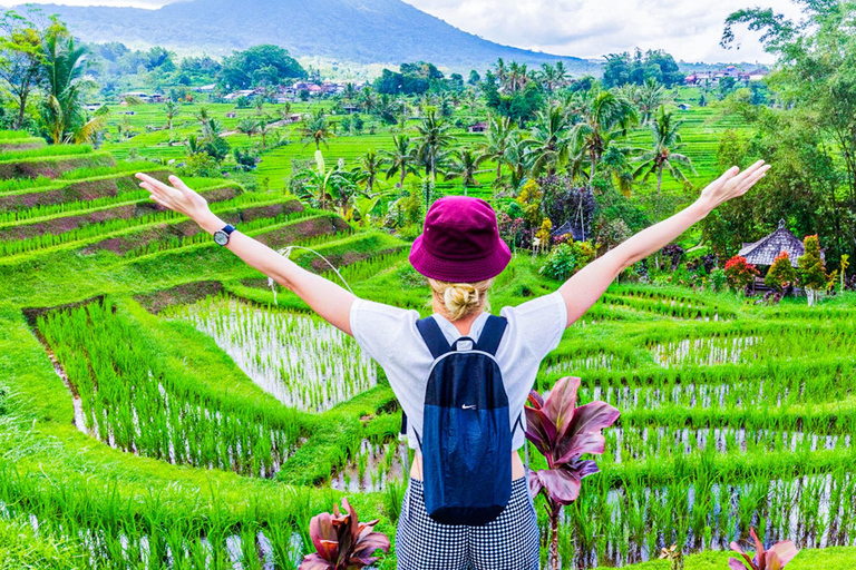 Bali: From Royal Garden to Floating Shrines and Ocean Temple