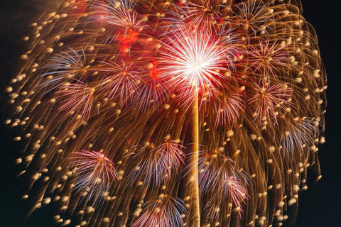 Oyama Fireworks Festival 2026: Day Trip from Tokyo 13:00-14:00 Pick up From Hotel