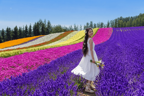 The best Furano Lavender field tours - 2026 (Verified Reviews)