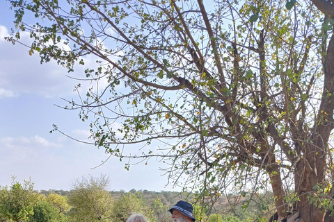 Nordäthiopien erkunden: 17-tägige Tour