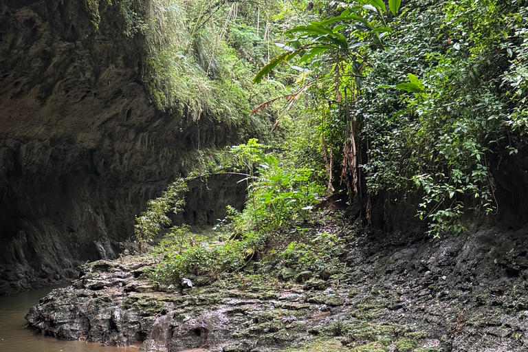 Puerto Rico: Tanama River Tubing & Cave Adventure in Arecibo