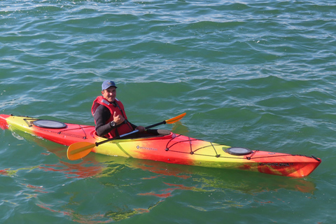 Walvis Bay: Seal Kayaking Adventure with Brunch