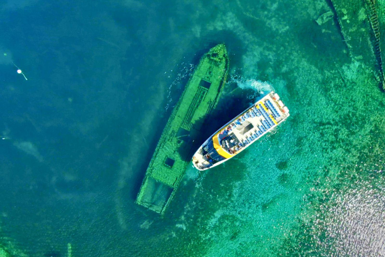 Toronto: Tobermory Day Trip from Toronto with Boat Cruise