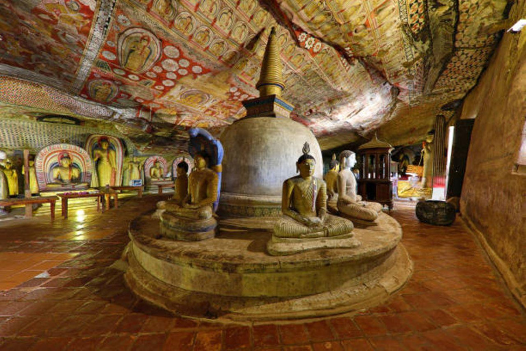 Kolombo: Sigiriya, jaskinie Dambulla, całodniowa wycieczka do dzikiego życia