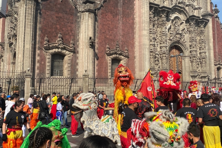 Verken Mexico-Tenochtitlan met een gespecialiseerde professor