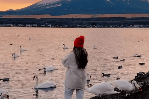 Tokyo: Mount Fuji Must See Private Tour Adjustable Itinerary