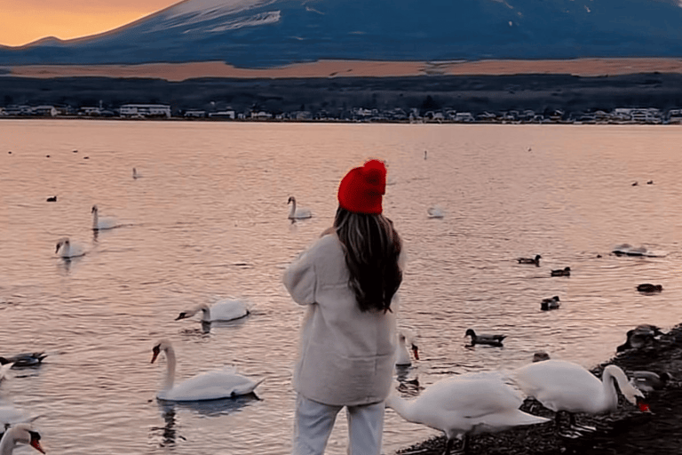 Tokyo: Mount Fuji Must See Private Tour Adjustable Itinerary