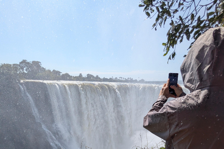 Victoria Falls: Historic Town Tour, Big Tree & Guided Walk
