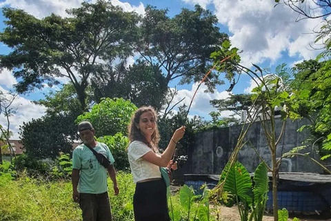 Yogyakarta: Javanese Village Tour with Batik & Cooking Class Java Village Tour with Batik & Cooking Class without Ticket