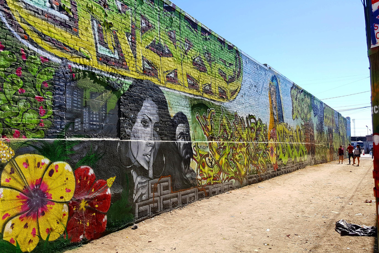 Los Angeles: Private Alley Adventure Graffiti Bike Tour