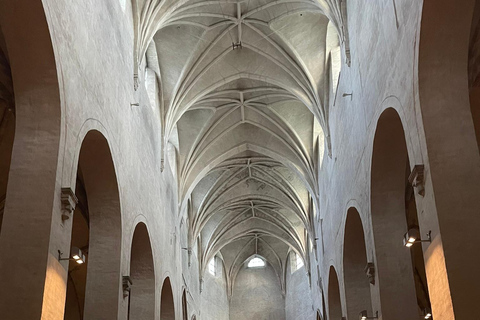 Turku privado de carro a partir de Helsínquia: Catedral e Castelo