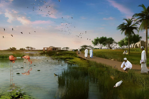 Salalah Bird Watching: Darbat, Rori & Awqad
