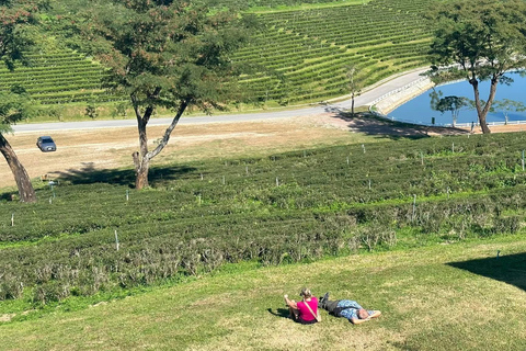 JOIN TOUR 1 day trip around Chiang Rai included lunch buffet