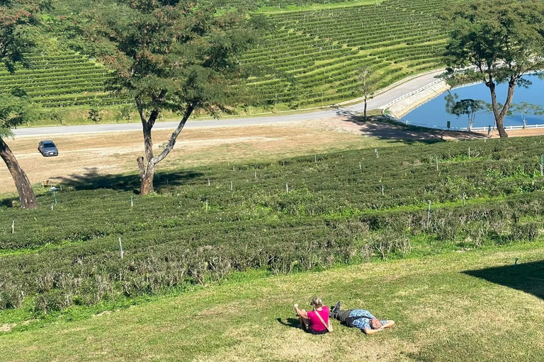 JOIN TOUR 1 day trip around Chiang Rai included lunch buffet