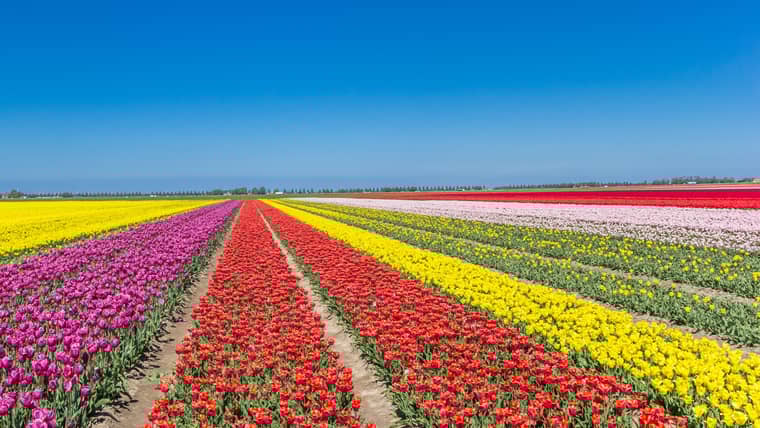 Best Activities in Noordoostpolder