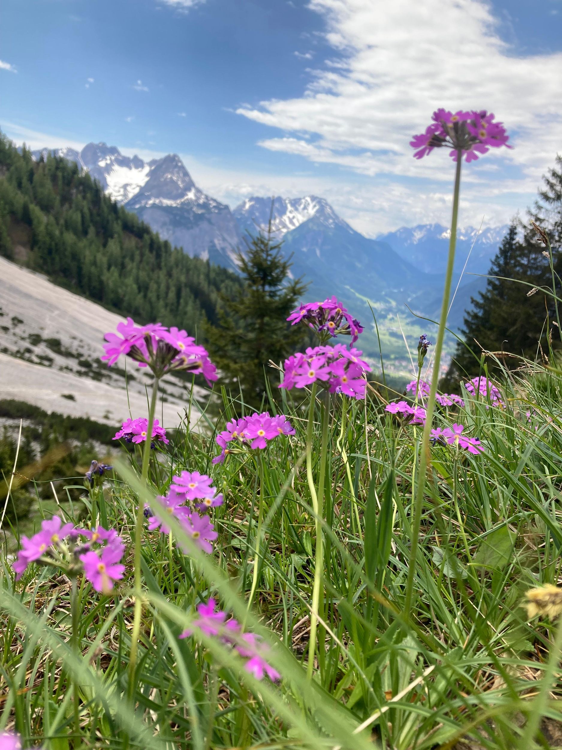 Ehrwald: Wandertour in atemberaubender Natur