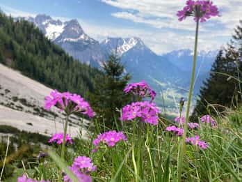 Ehrwald: Wandertour in atemberaubender Natur