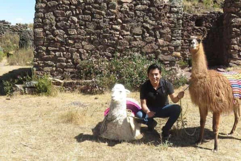 Private Tour from Cusco | Llama Tour + Clay Healing