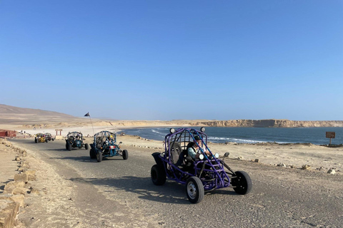 PARACAS NATIONALRESERVAT MED MINIBUGGY