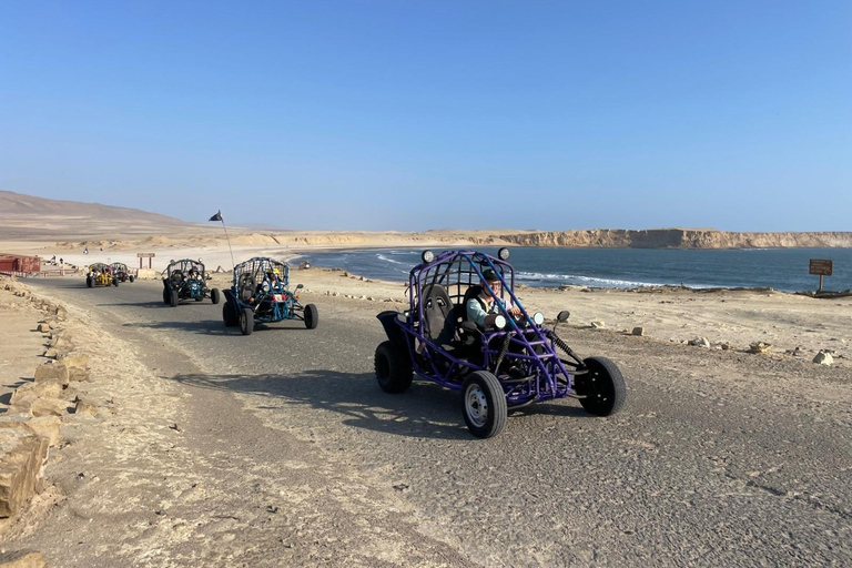 PARACAS NATIONALRESERVAT MED MINIBUGGY