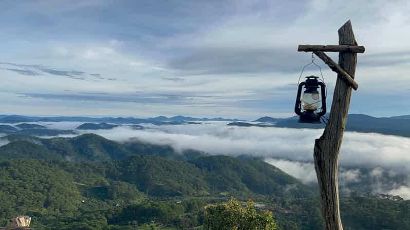 Galería de fotos para redes