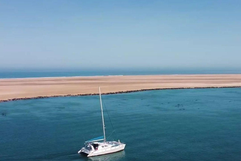 Walvis Bay Marine Cruise & Coastal Discovery
