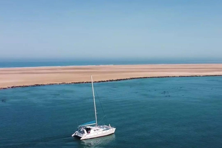 Walvis Bay Marine Cruise & Coastal Discovery