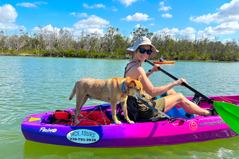 Bonita Springs Clear Kayak Tour with Dolphins & Manatees Crescent Tandem Kayak