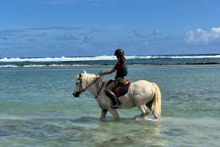 Saint-François : Balade à cheval en bord de mer de 2h30