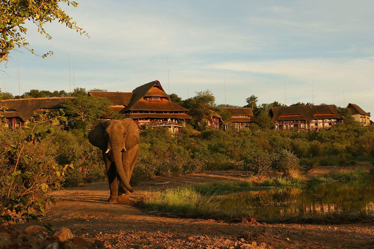 رحلة يومية إلى تشوبي من مدينة ليفينغستون