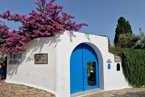 Excursión de un día a Cartago y Sidi Bou Said