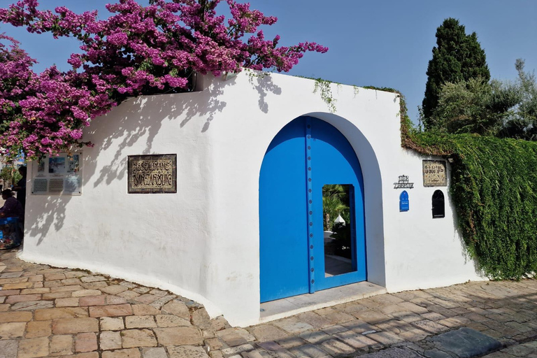 Excursión de un día a Cartago y Sidi Bou Said