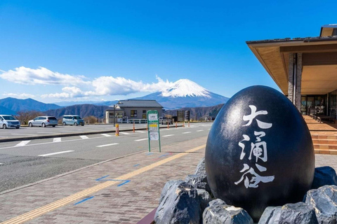 From Tokyo : Mount Fuji Private Day Trip with Hotel Pickup Mount Fuji & Hakone Customize Tour With English Guide