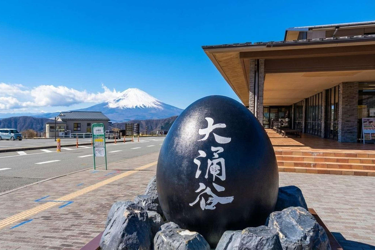 From Tokyo : Mount Fuji Private Day Trip with Hotel Pickup Mount Fuji & Hakone Customize Tour With English Guide