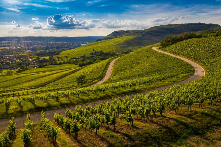 Milan: Barolo Vineyards & UNESCO Wine Cathedral Experience