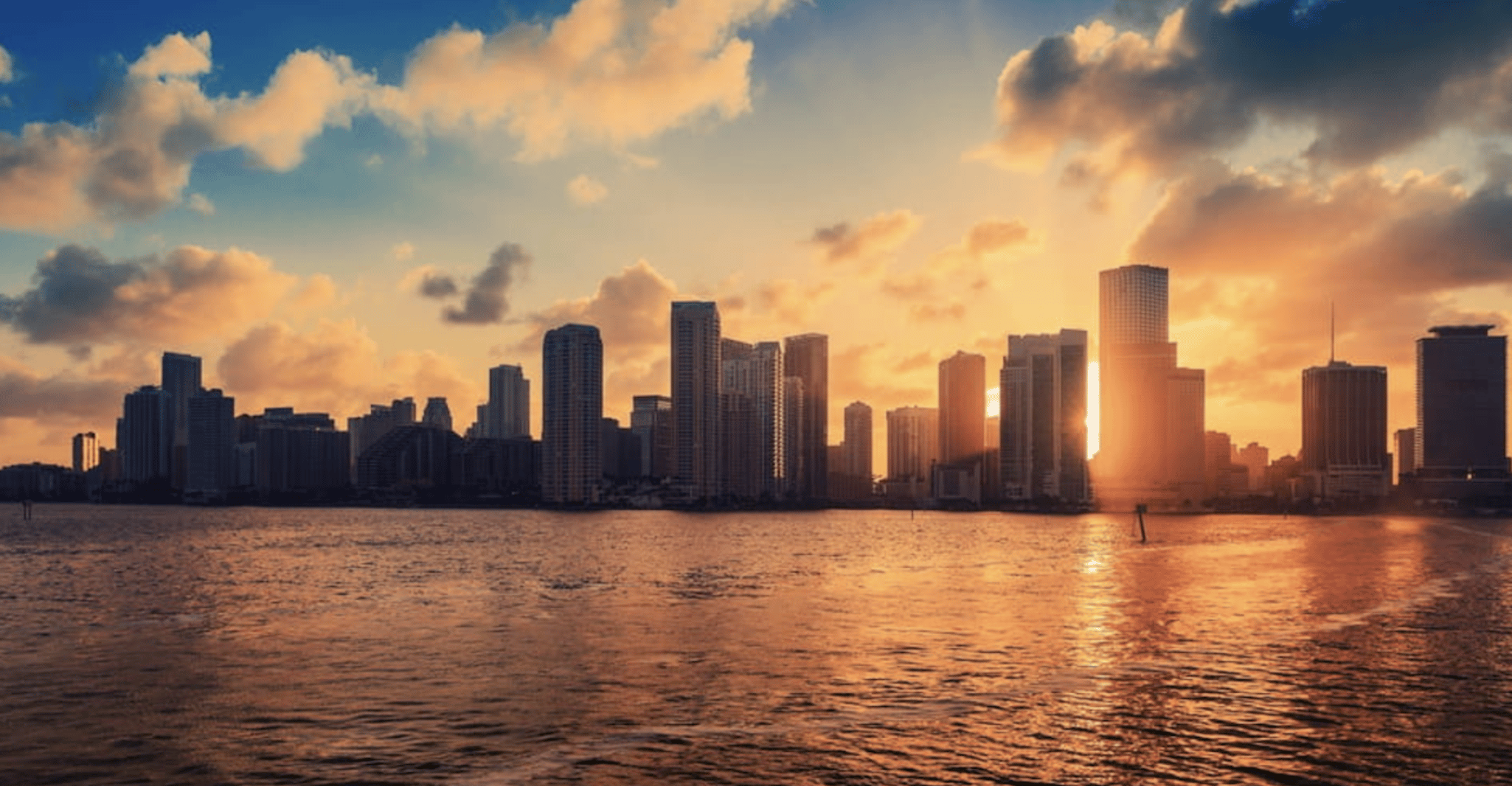 Miami: Biscayne Bay Millionaire's Homes Sightseeing Cruise photo 9