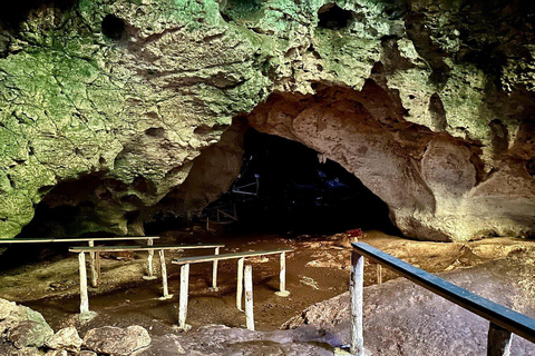 From Punta Cana: Los Haitises Tour: Mangroves, Caves + Round Mountain