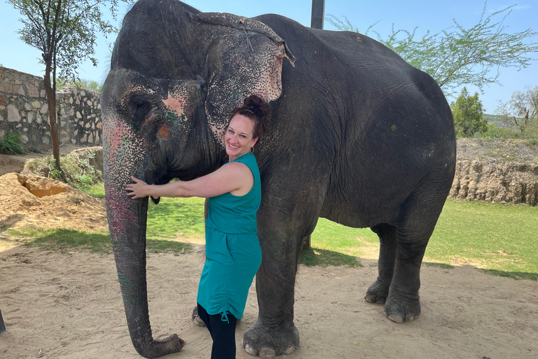 Elefun Best Elephant Sanctuary Jaipur Elephant Sanctuary