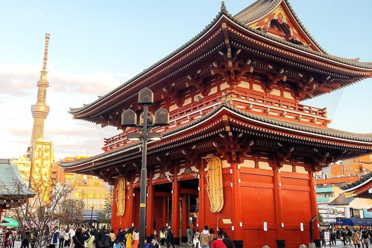 Tokyo Full Day Private Sightseeing Tour with English Driver